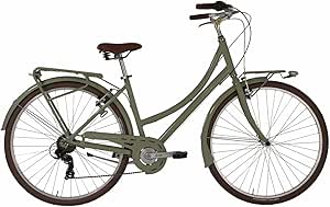 Bicicleta de paseo