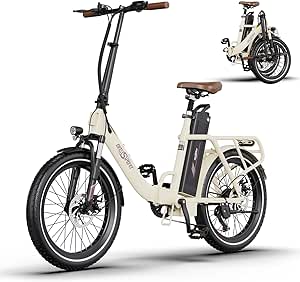 Bicicleta de paseo