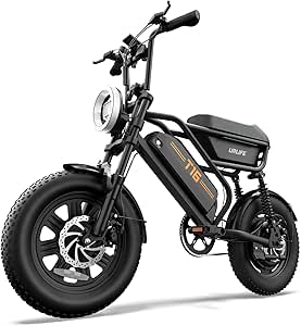Fatbike