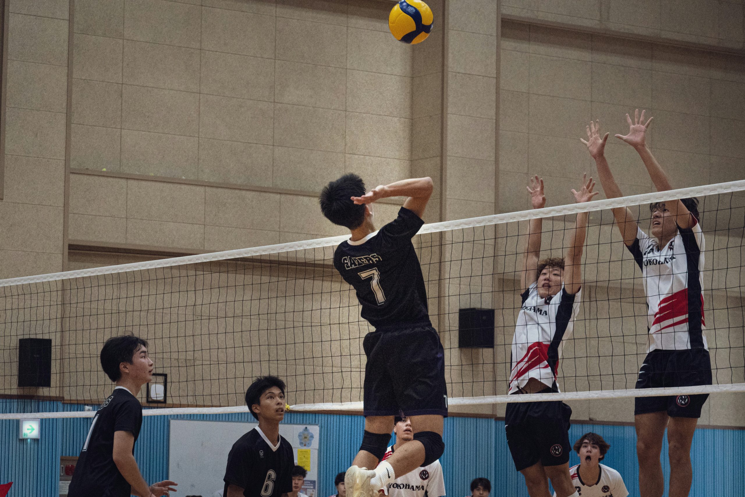 Voleibol